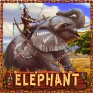ELEPHANT thumbnail