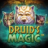Druid's Magic NetEnt thumbnail